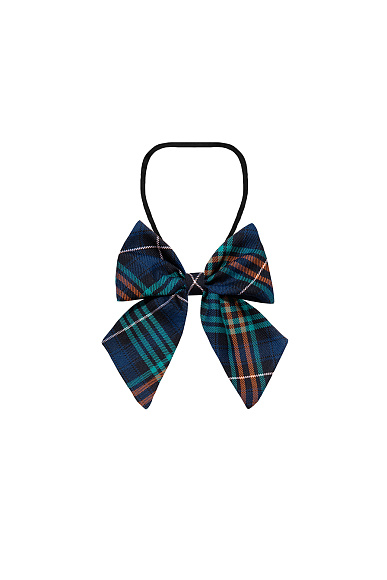 Бант цвет зеленая клетка